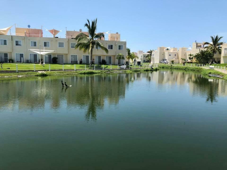 Renta De Departamento En Diamante Appartement *