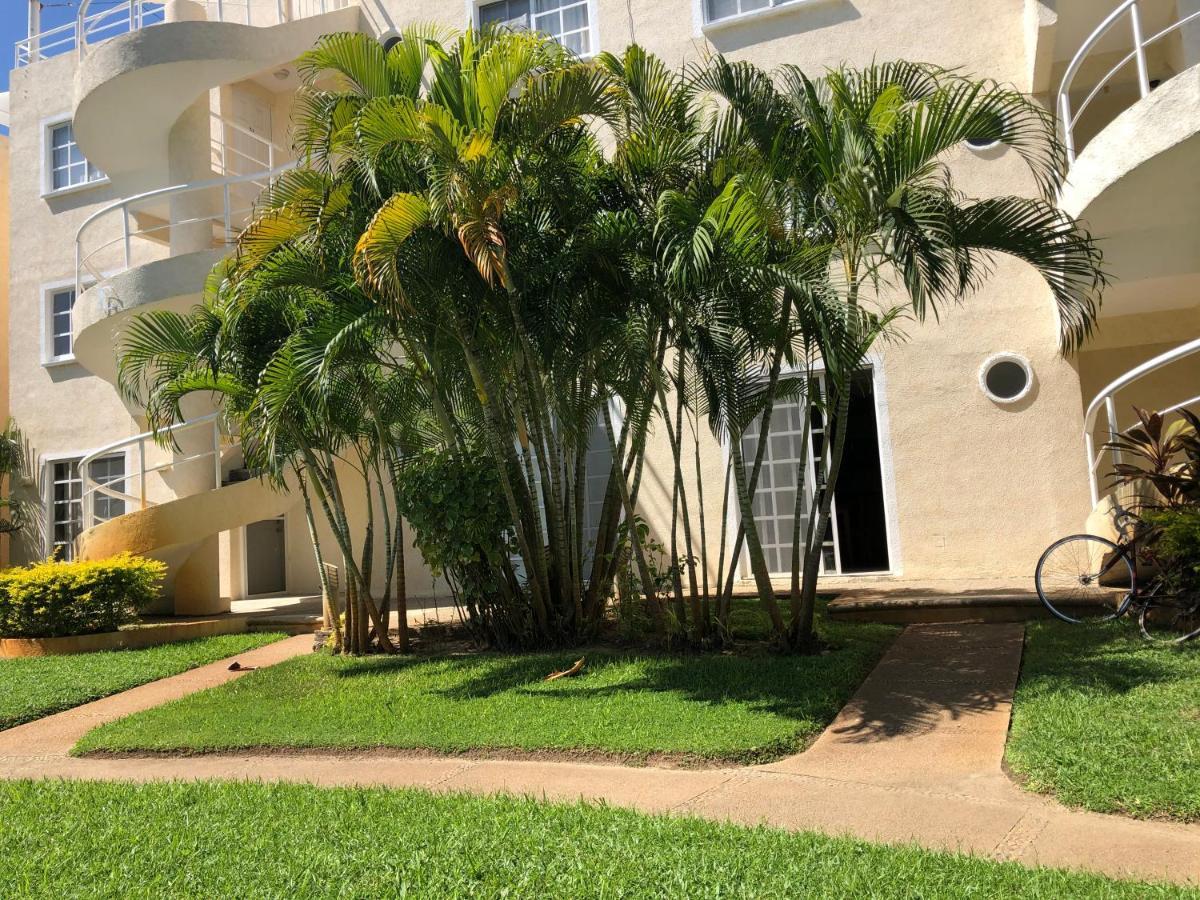 Renta De Departamento En Diamante Appartement